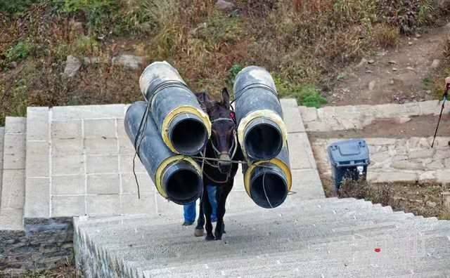 嘉兴马帮运输